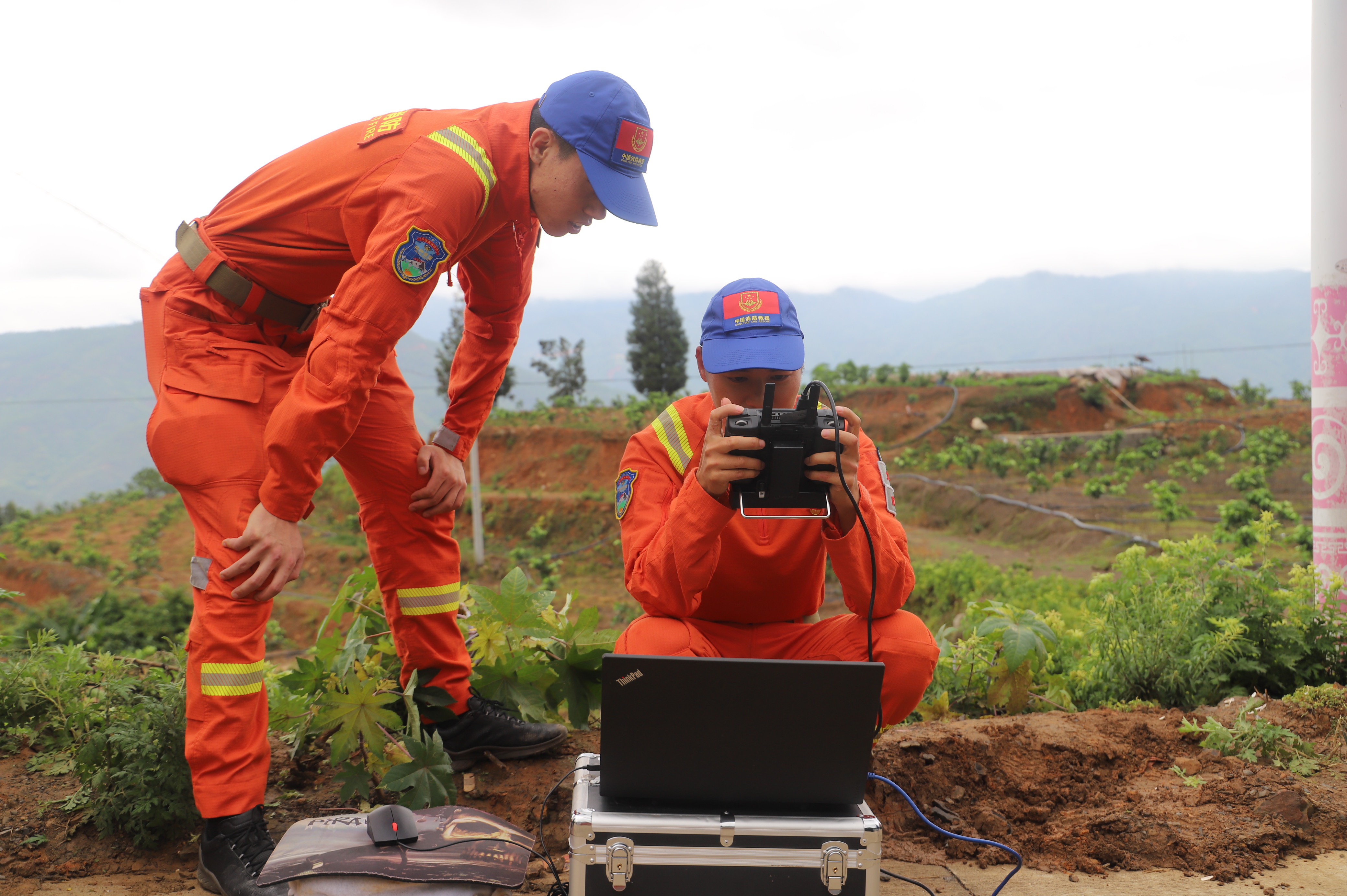 象群从玉溪峨山县塔甸镇进入化念镇