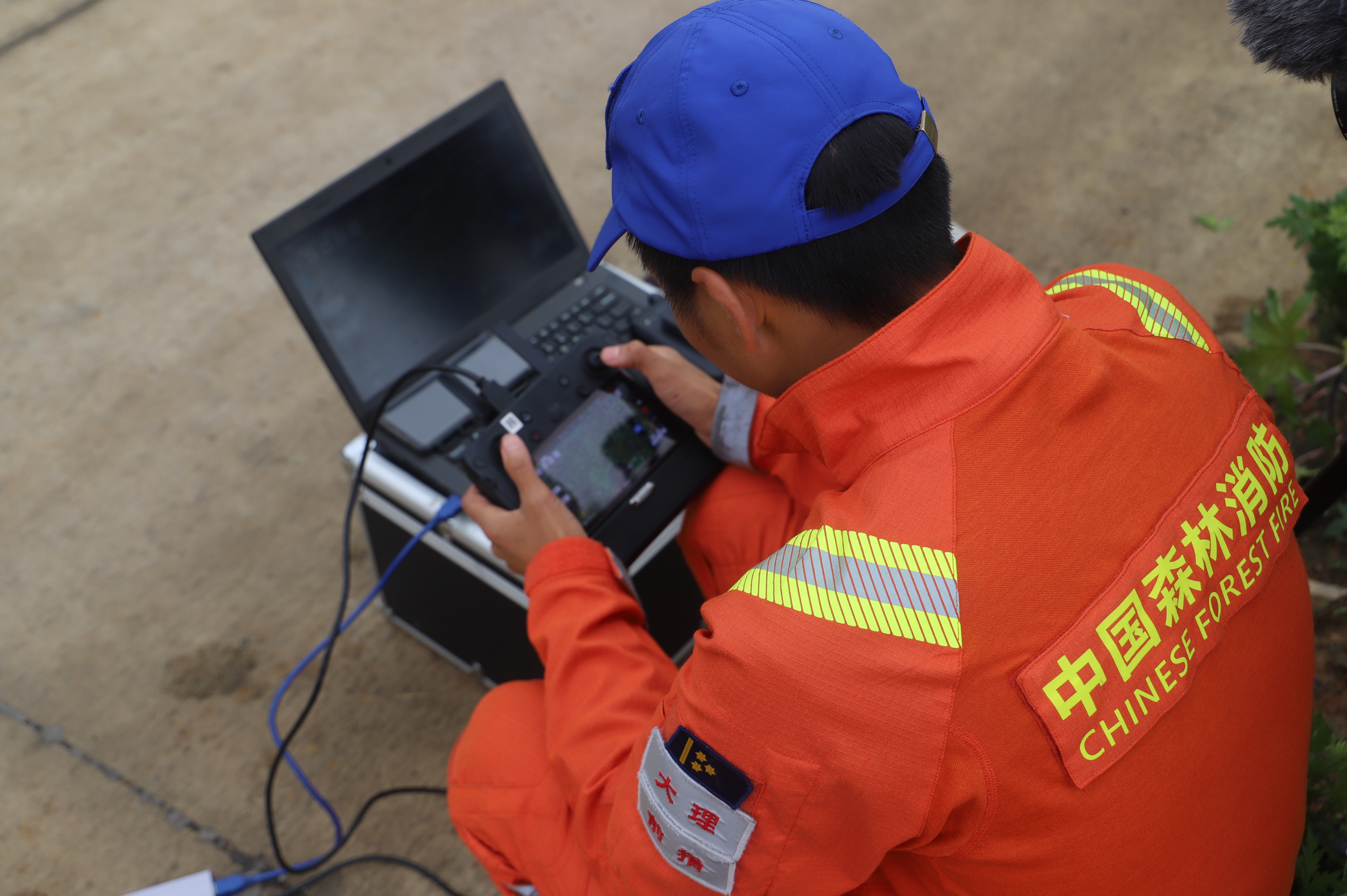 象群从玉溪峨山县塔甸镇进入化念镇