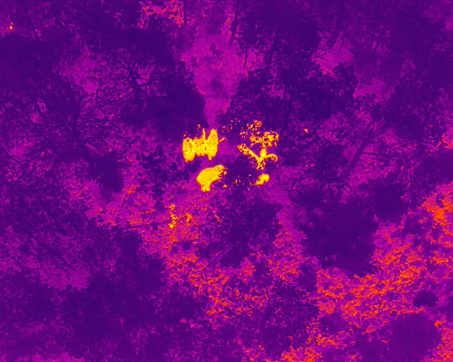 象群向西南方向移动12.2公里，独象距象群60.1公里（云南森林消防供图）