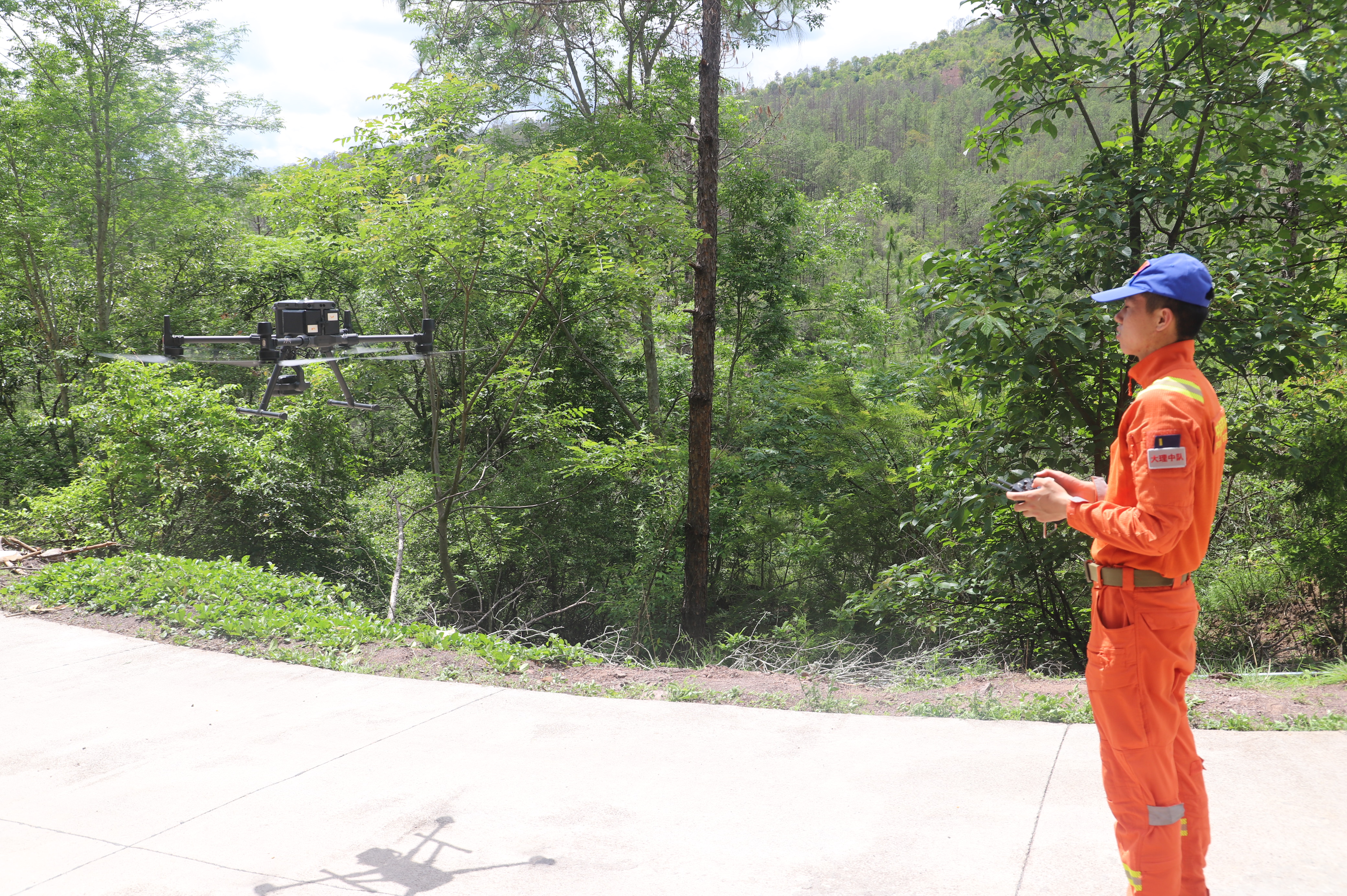 象群总体向西南方向移动11.1公里，独象距离象群66.7公里（供图）