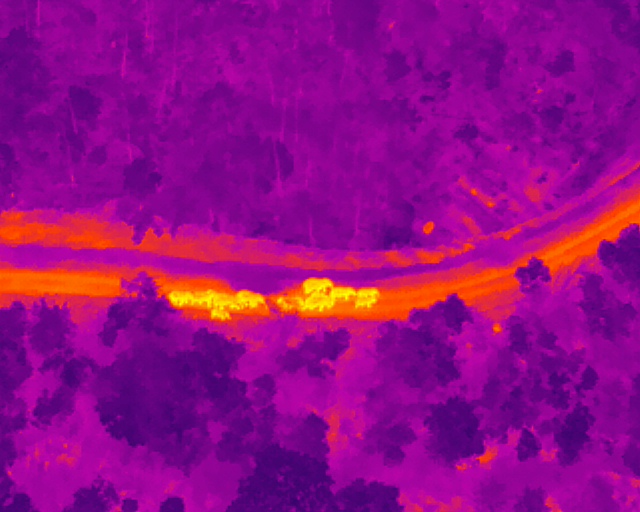 象群总体向西南方向移动11.1公里，独象距离象群66.7公里（供图）