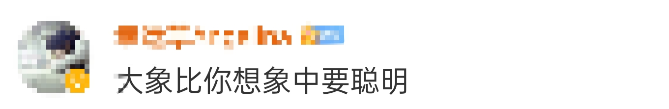 大象吃野生菌会中毒吗？