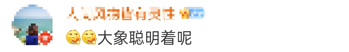 大象吃野生菌会中毒吗？