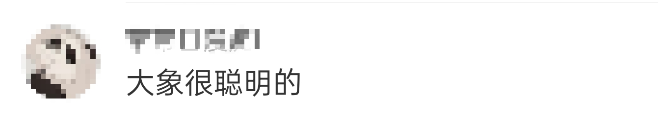 大象吃野生菌会中毒吗？