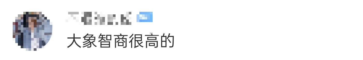 大象吃野生菌会中毒吗？