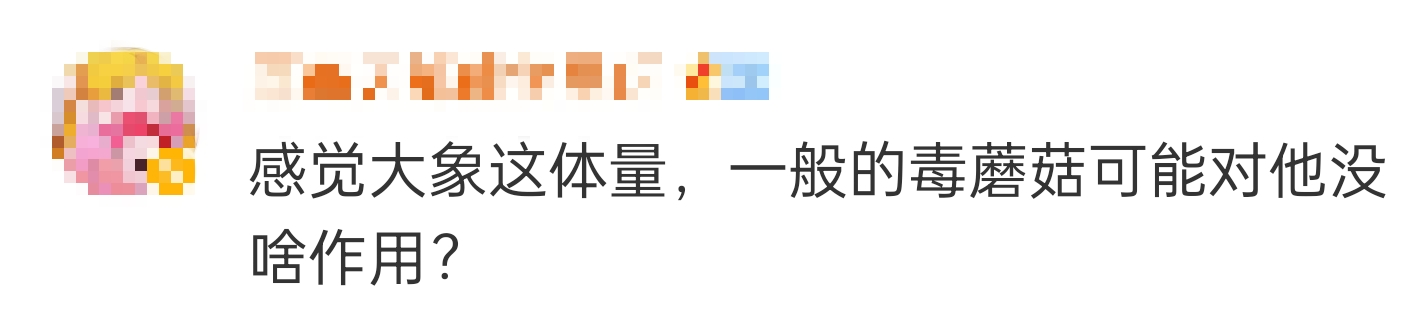 大象吃野生菌会中毒吗？