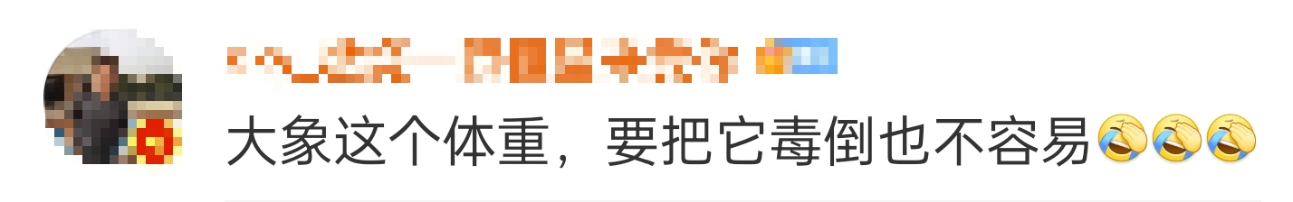 大象吃野生菌会中毒吗？