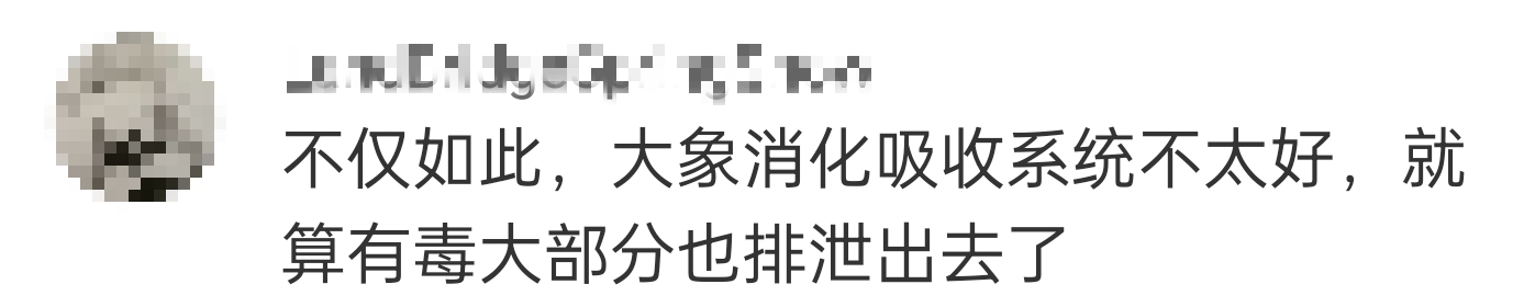 大象吃野生菌会中毒吗？