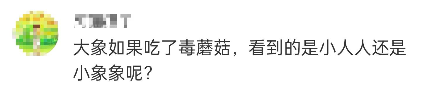 大象吃野生菌会中毒吗？