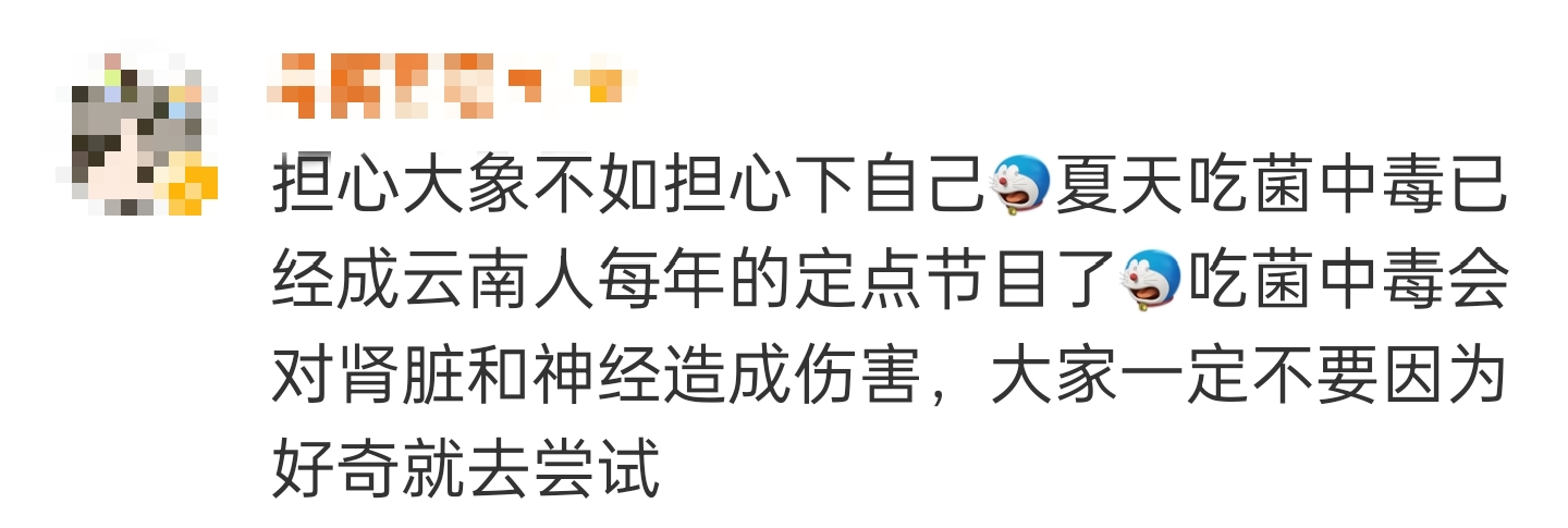 大象吃野生菌会中毒吗？