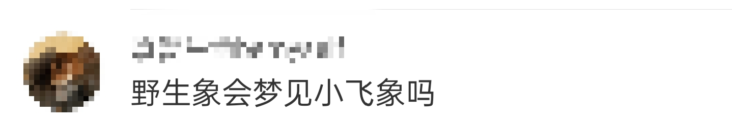 大象吃野生菌会中毒吗？