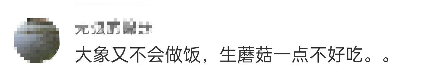 大象吃野生菌会中毒吗？