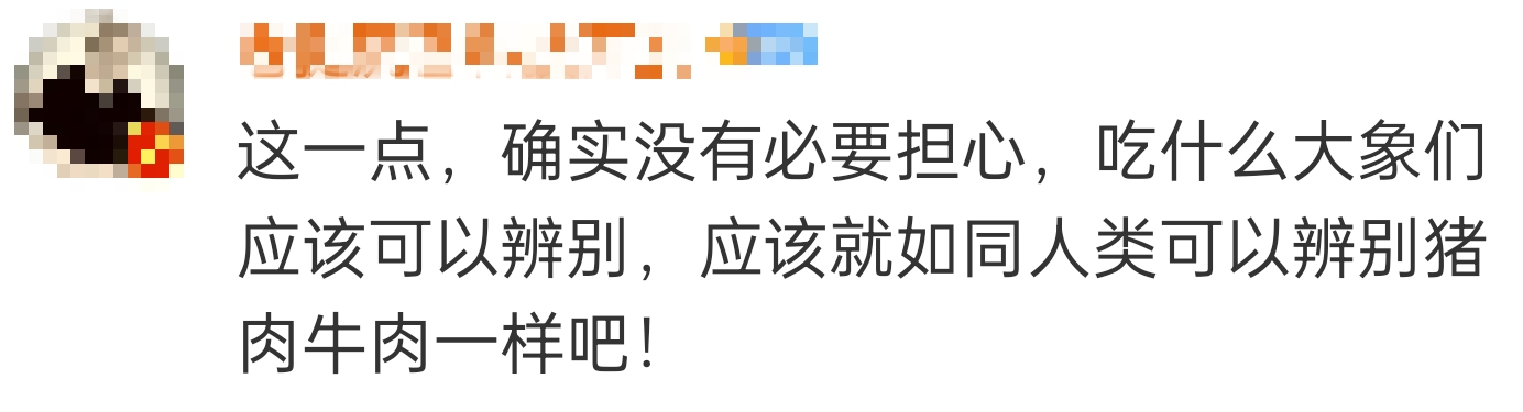 大象吃野生菌会中毒吗？