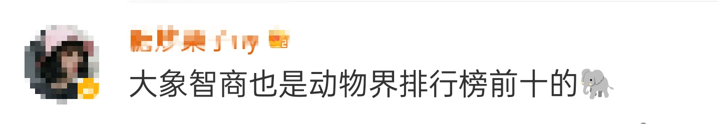 大象吃野生菌会中毒吗？