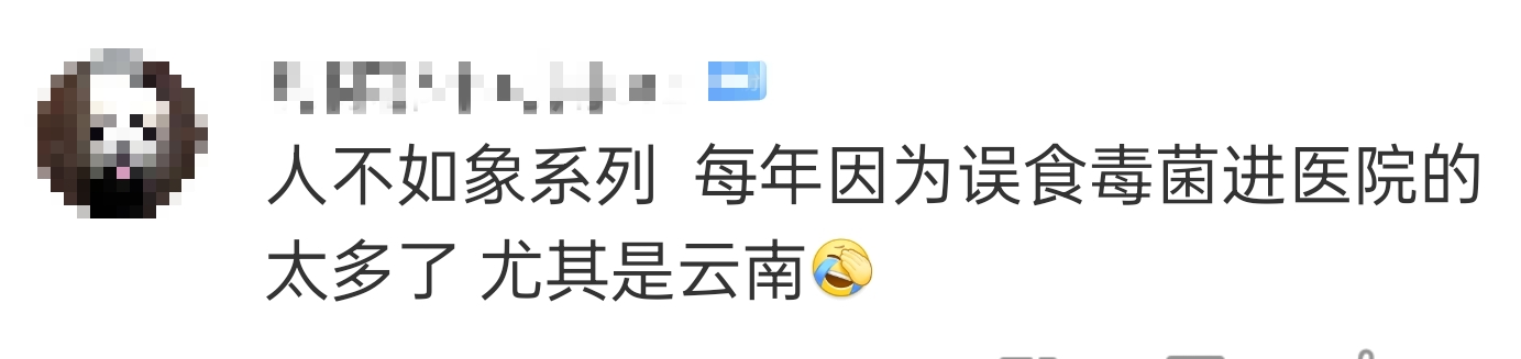 大象吃野生菌会中毒吗？