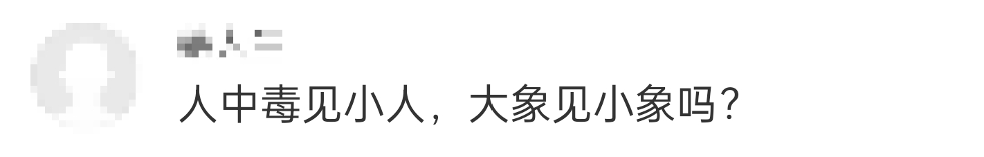 大象吃野生菌会中毒吗？