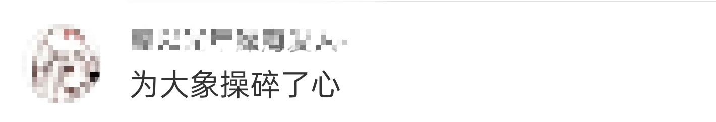 大象吃野生菌会中毒吗？