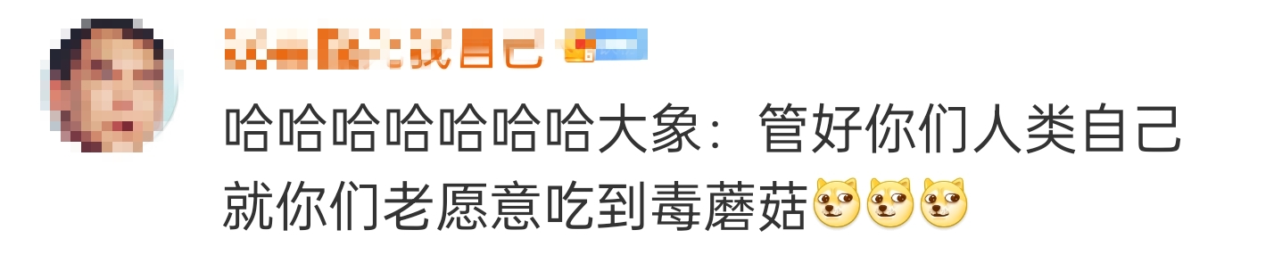 大象吃野生菌会中毒吗？