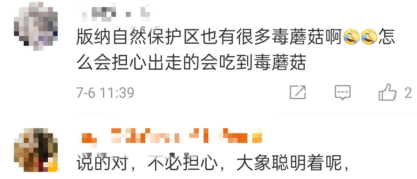 大象吃野生菌会中毒吗？