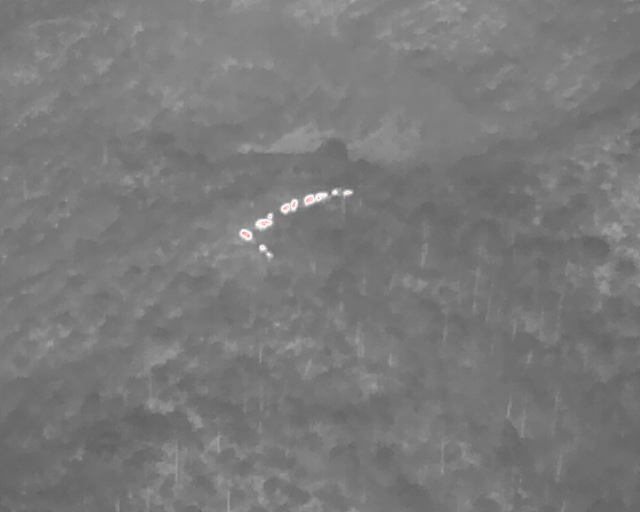 最新！象群向东南方向移动9.78公里，独象距离象群69.5公里（供图）