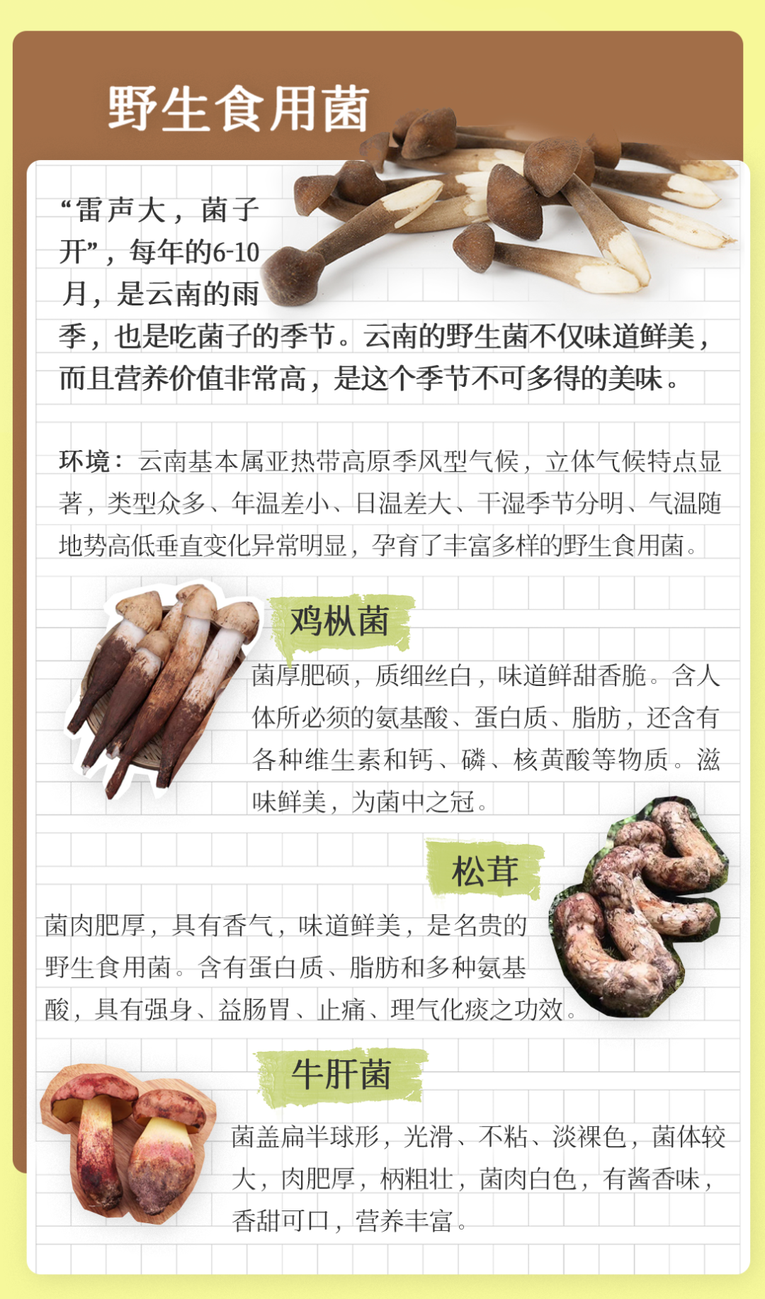 小暑节气，全国节气好物推荐地图（图自中国天气网）