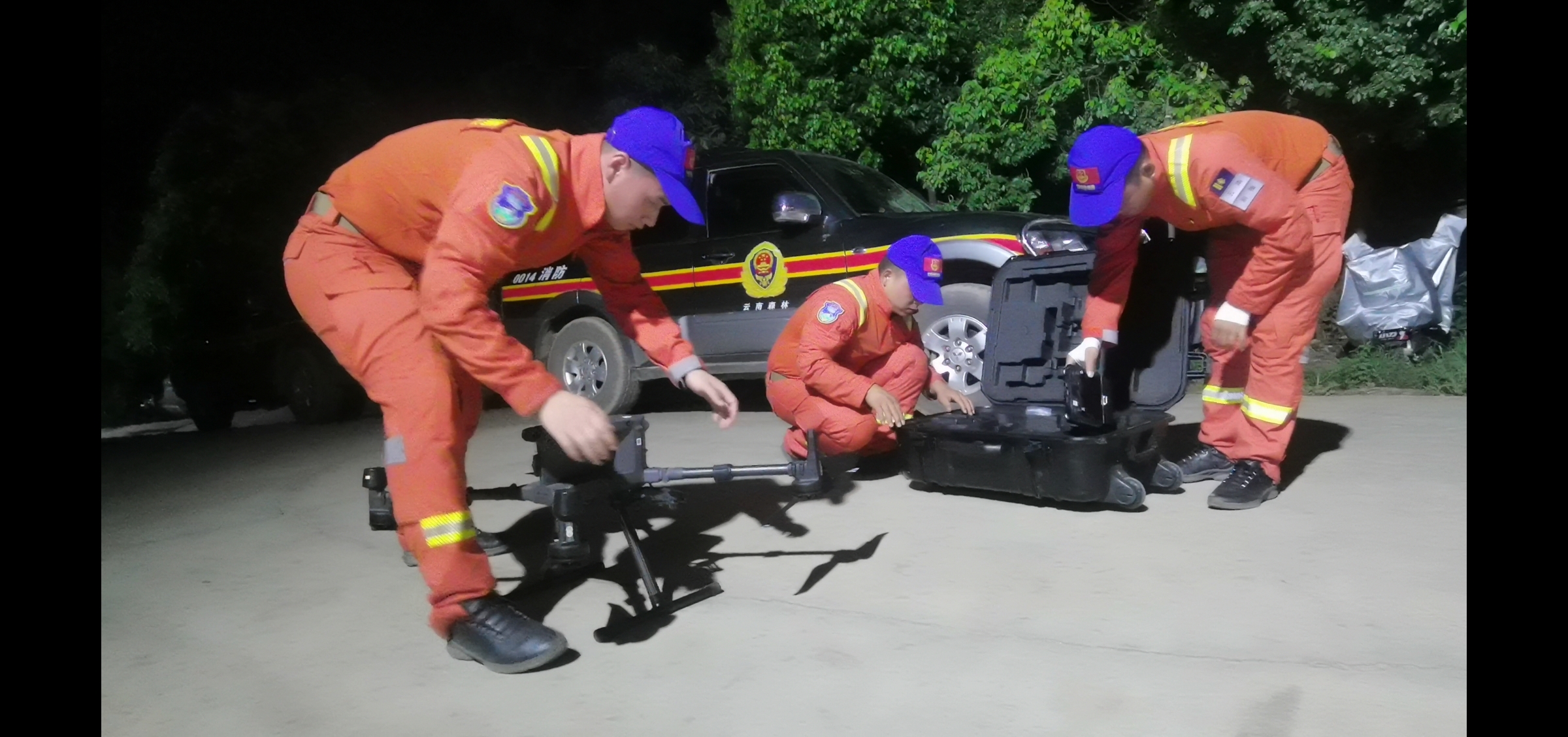 亚洲象（供图）