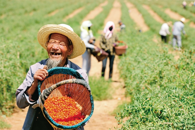 小康梦圆了 求是网2.png