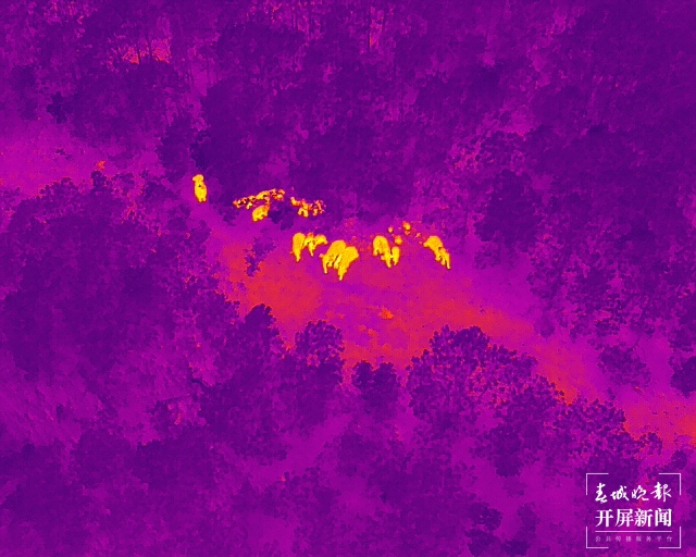 云南省森林消防总队提供 (8)(10865904)-20210718185200.JPG