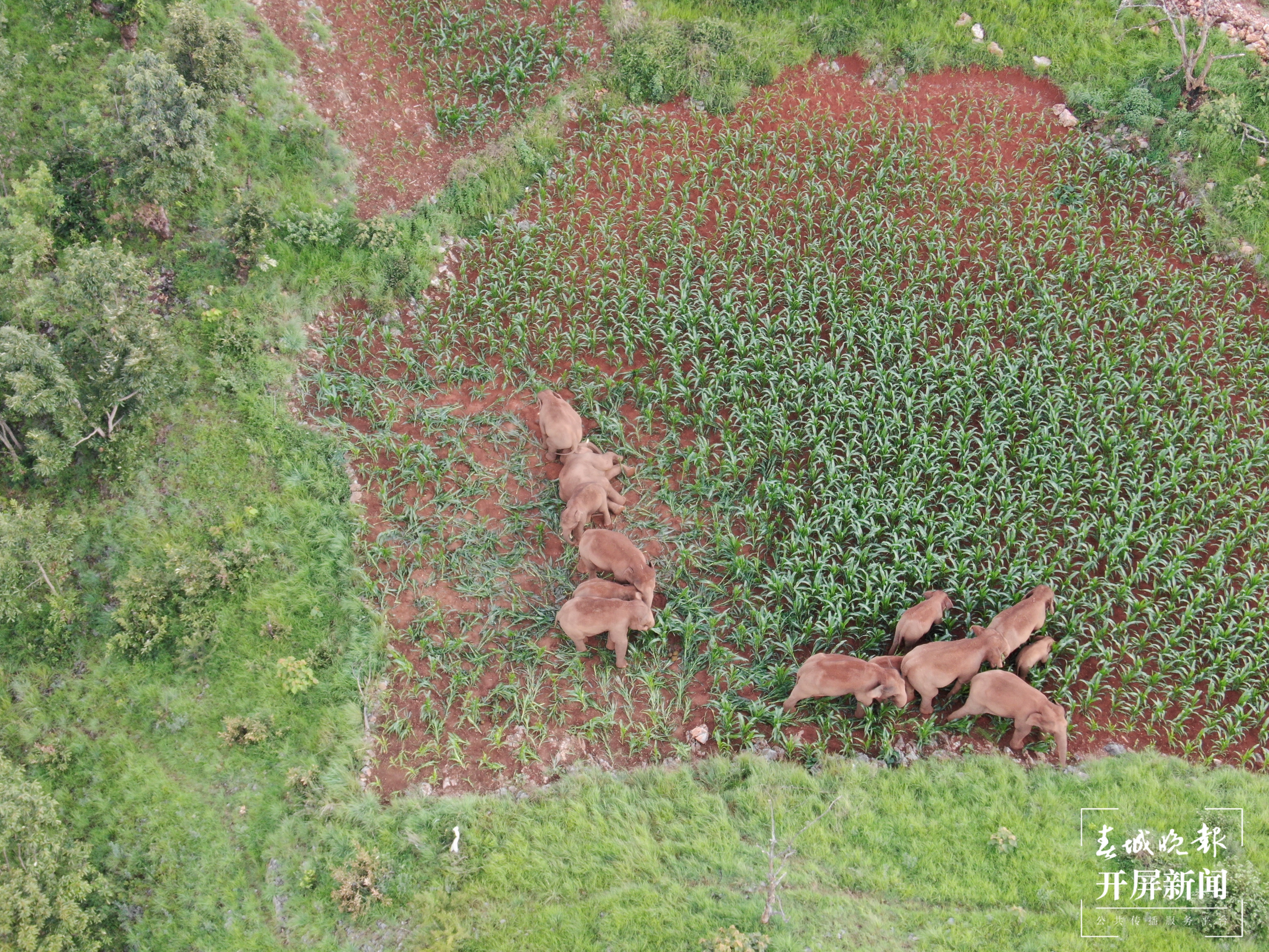 云南省森林消防总队提供 (7)(10865908)-20210718185207.JPG