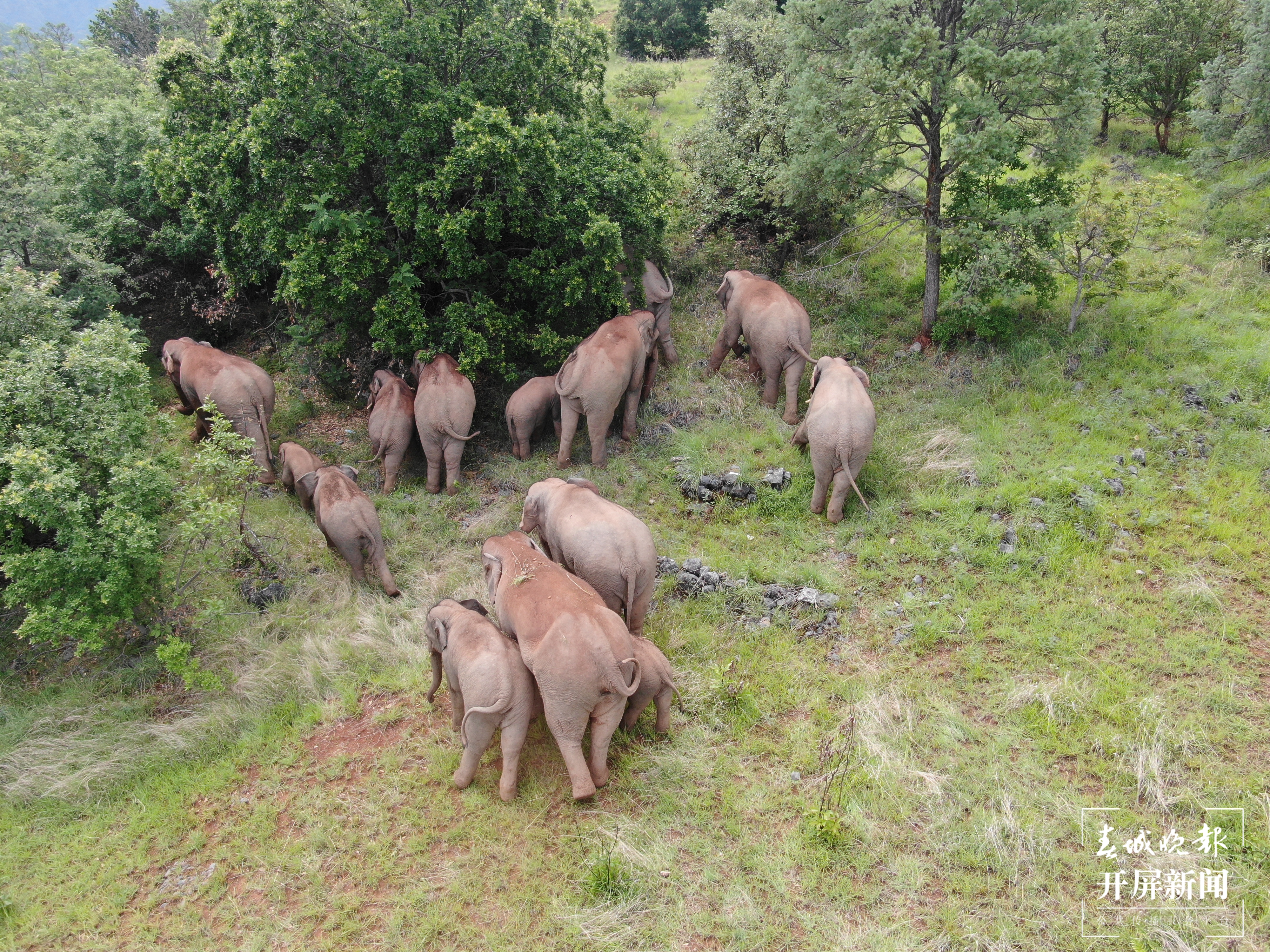 云南省森林消防总队提供 (5)(10865898)-20210718185144.JPG