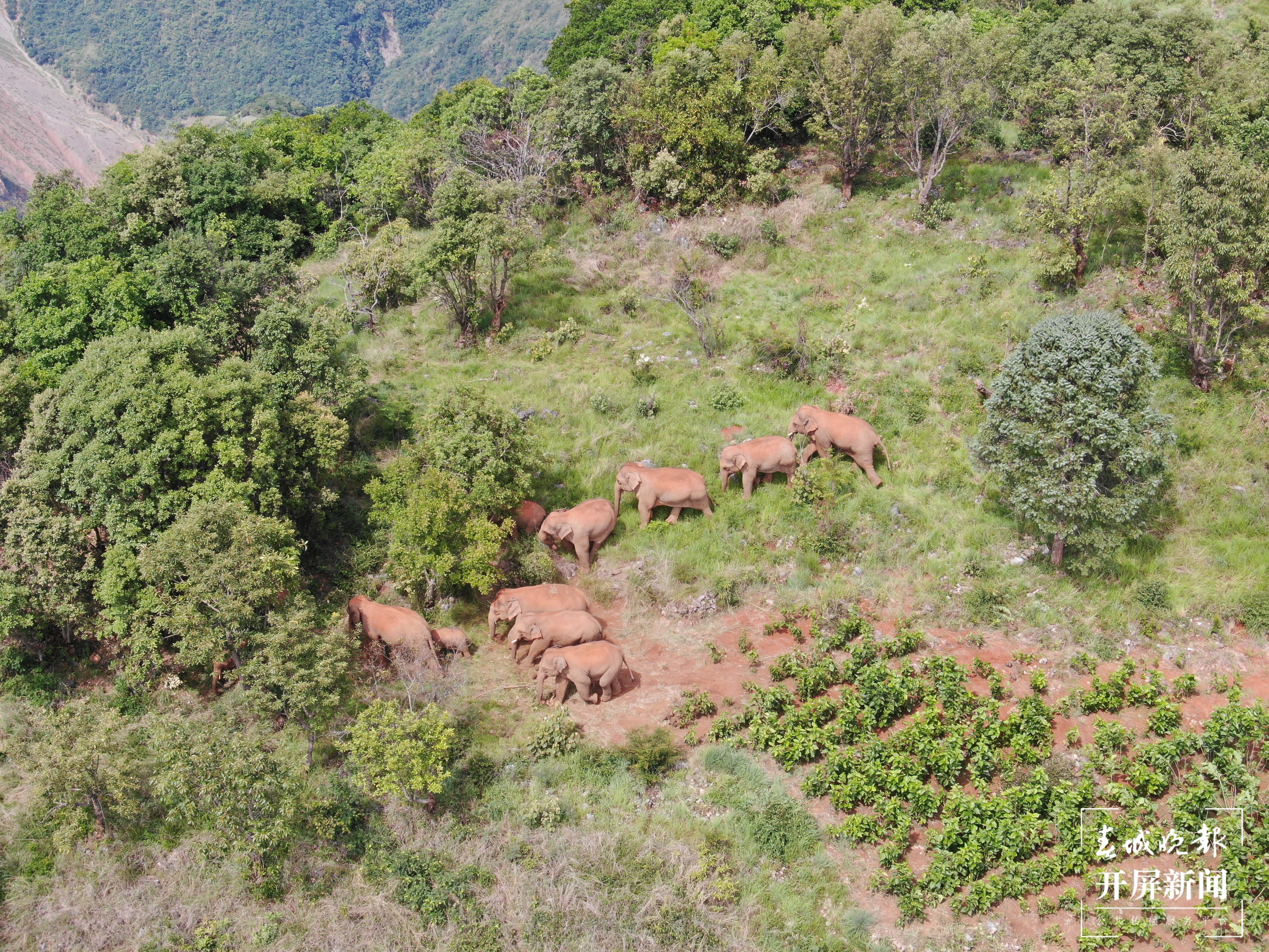 云南省森林消防总队提供 (6)(10865900)-20210718185148.JPG