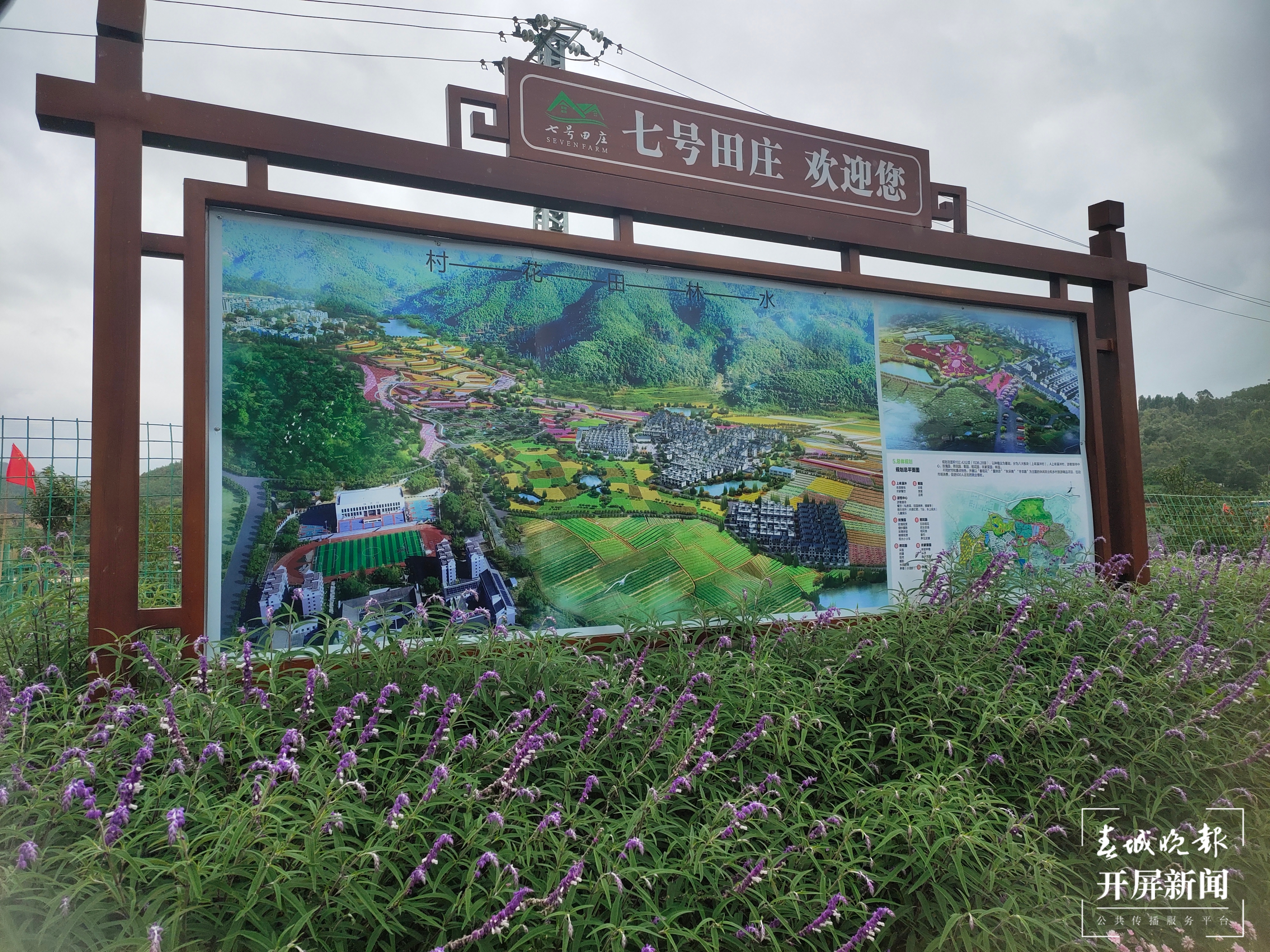 青花街夜经济繁荣，玉溪人夜晚有了好去处（开屏新闻记者 孙江荭摄影报道）