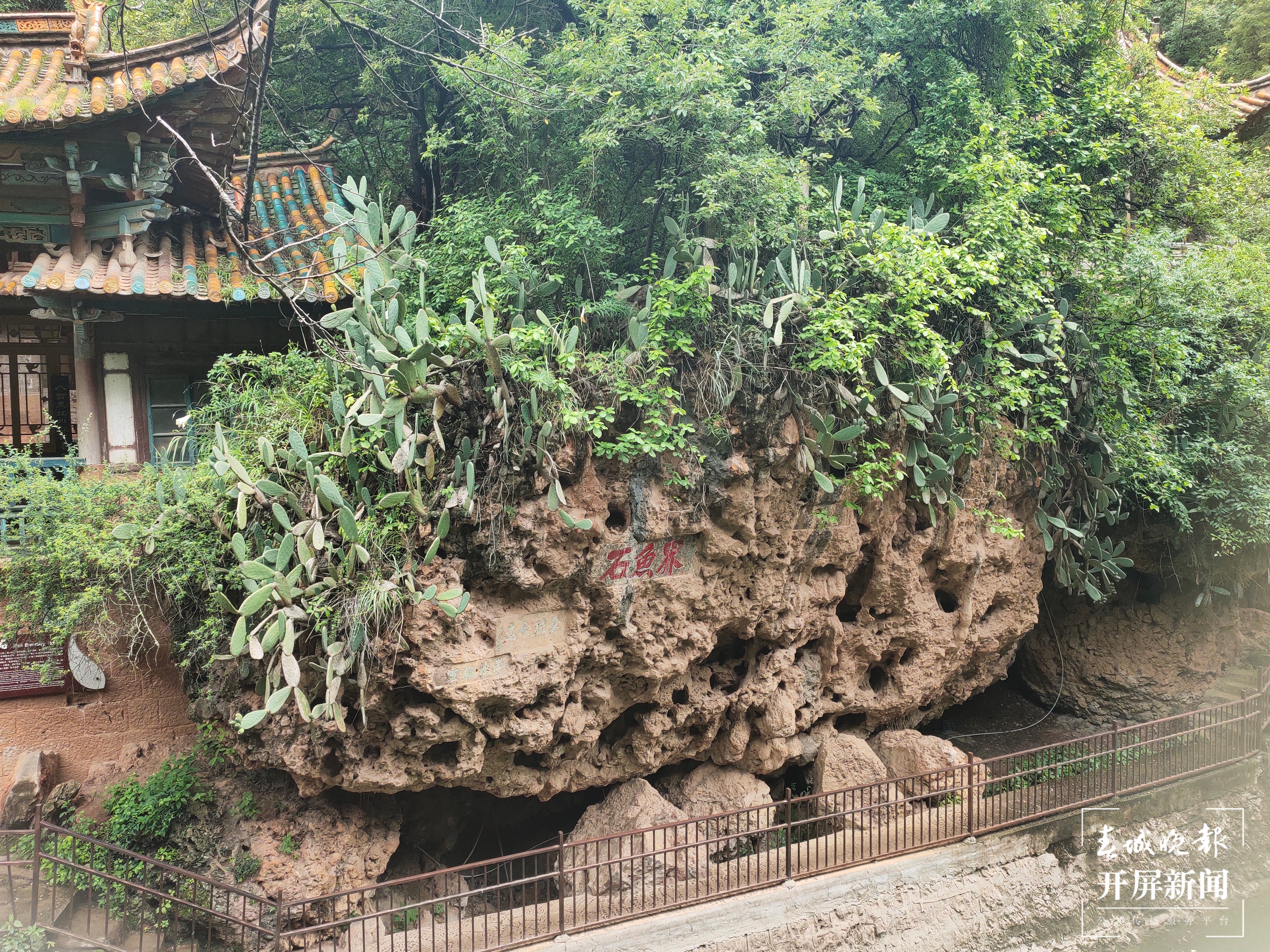 玉溪江川区（春城晚报-开屏新闻记者 孙江荭 摄）