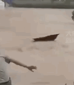 有你们，河南一定中 人民日报10.gif