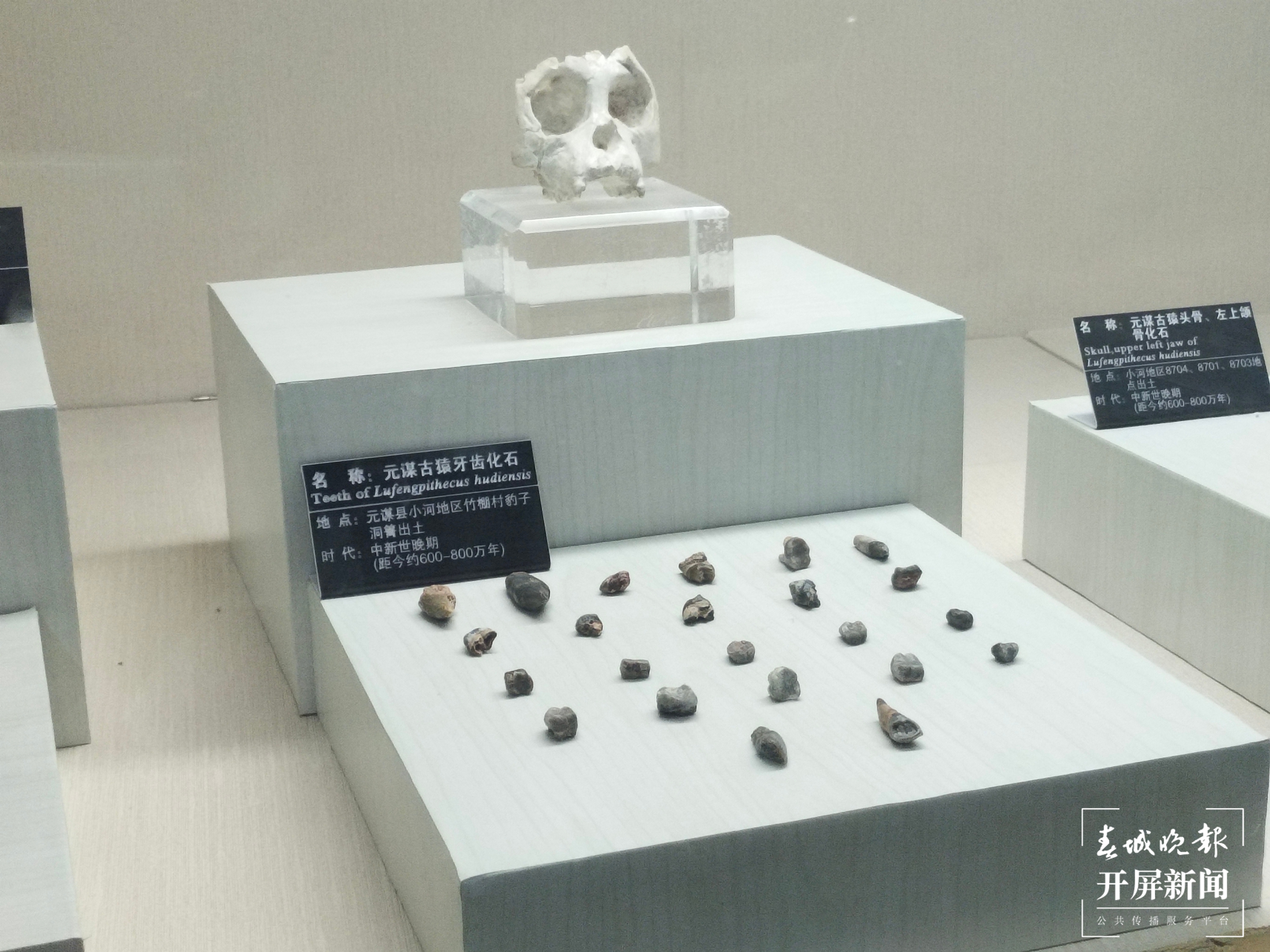 楚雄（春城晚报-开屏新闻记者 孙江荭 摄）