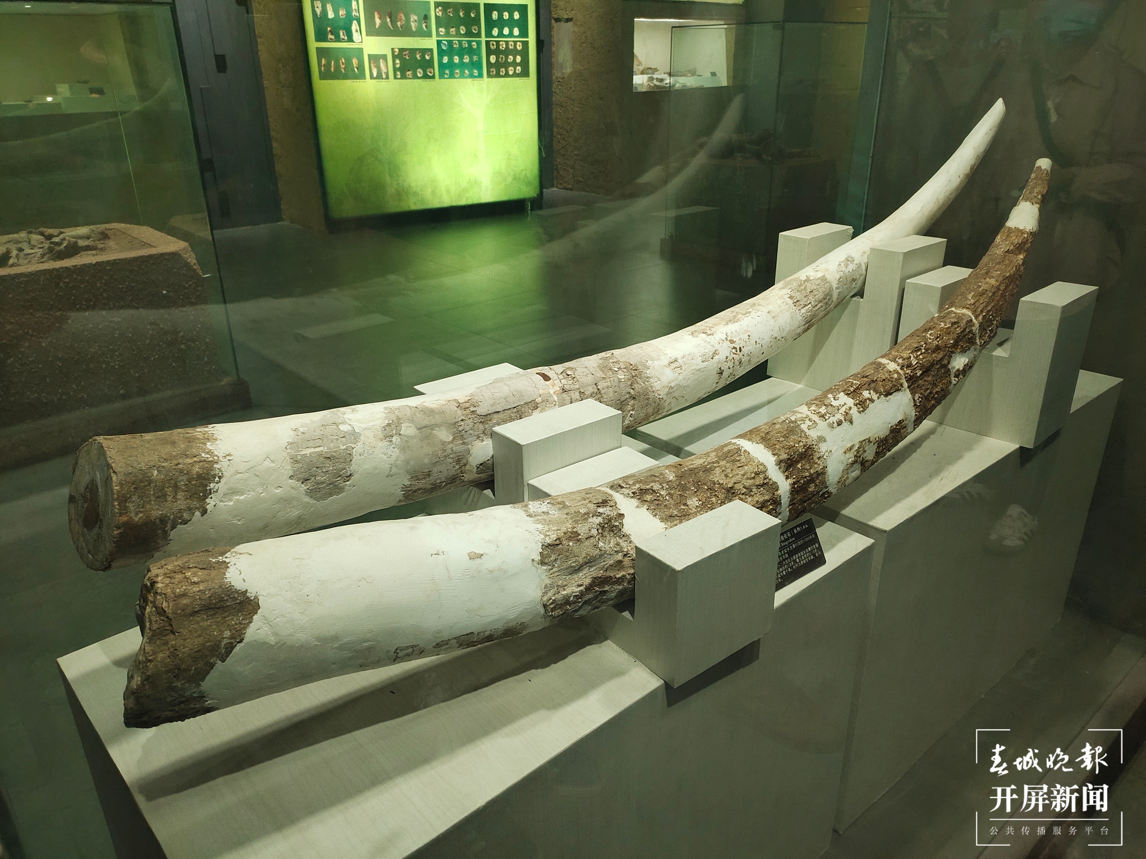 楚雄（春城晚报-开屏新闻记者 孙江荭 摄）