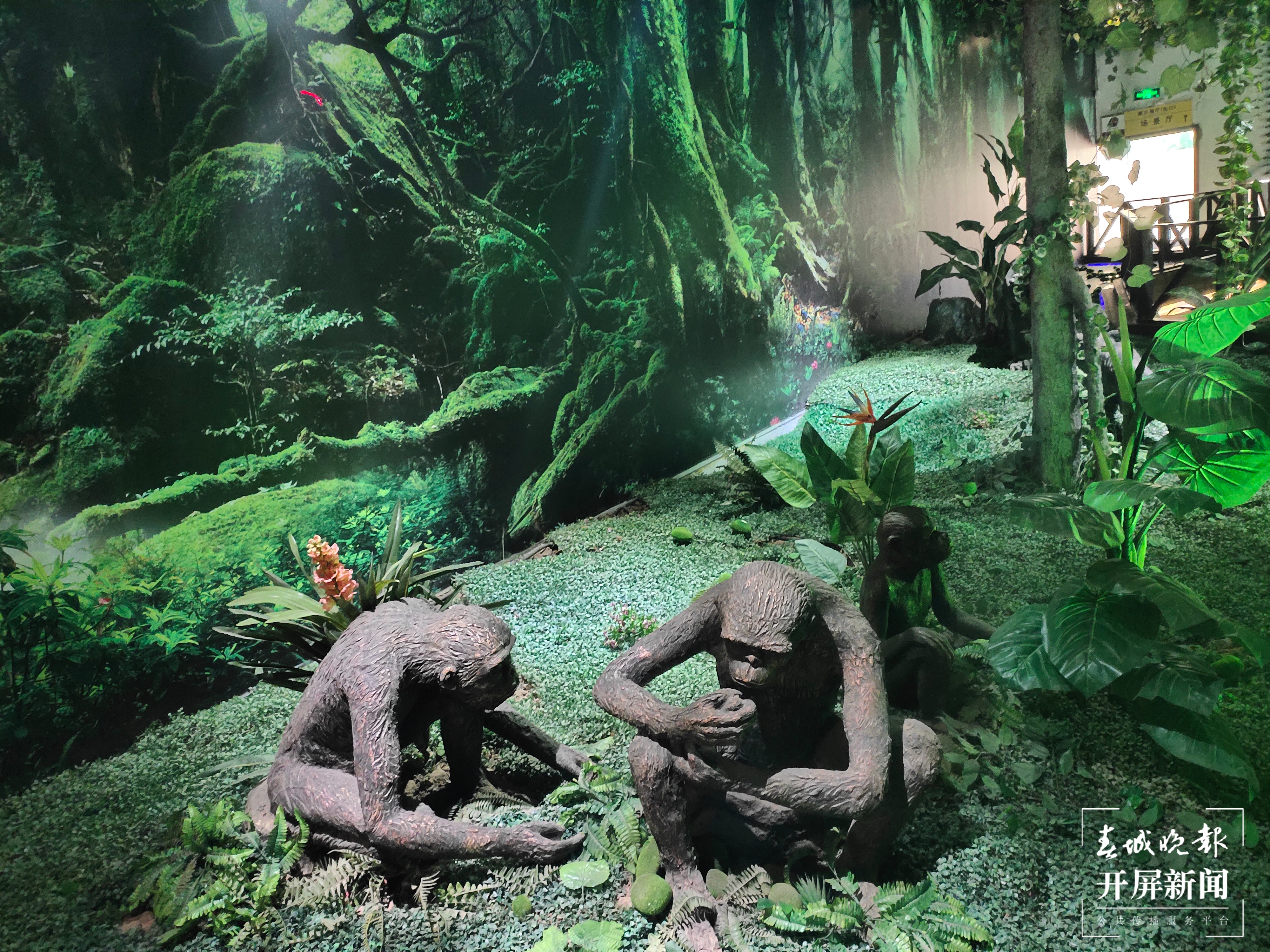 楚雄（春城晚报-开屏新闻记者 孙江荭 摄）