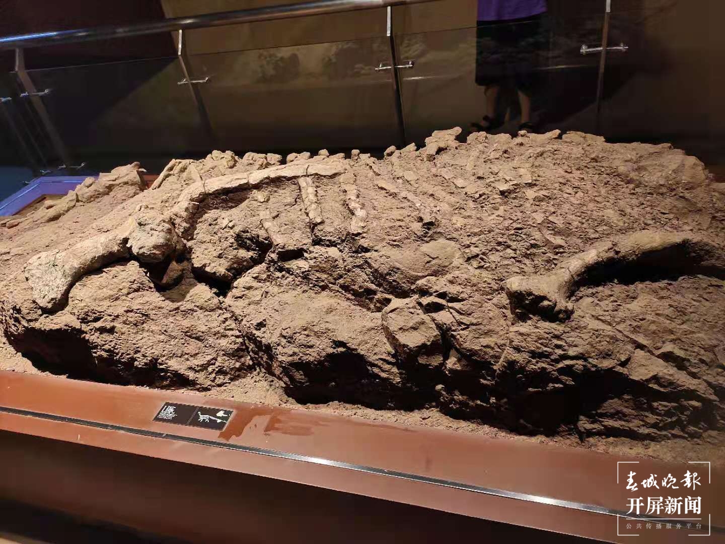 楚雄（春城晚报-开屏新闻记者 孙江荭 摄）