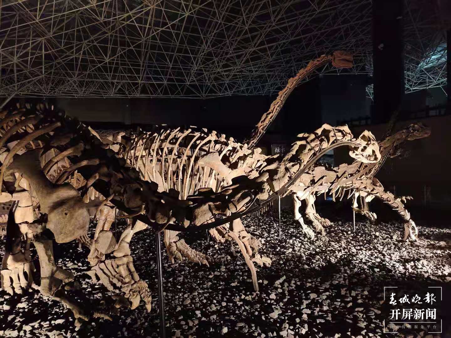 楚雄（春城晚报-开屏新闻记者 孙江荭 摄）