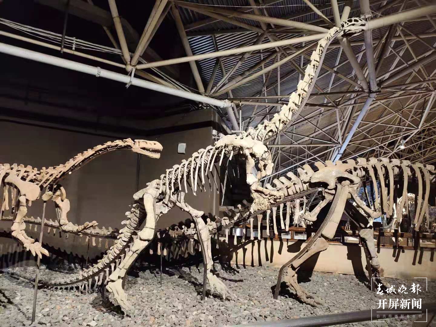 楚雄（春城晚报-开屏新闻记者 孙江荭 摄）