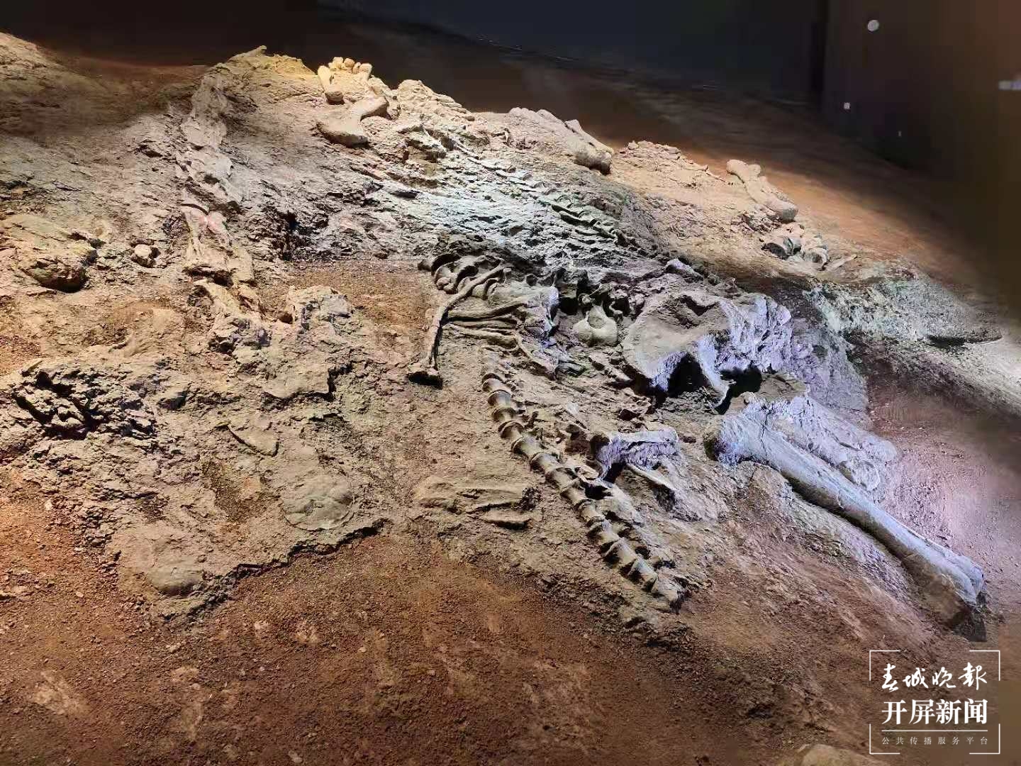 楚雄（春城晚报-开屏新闻记者 孙江荭 摄）