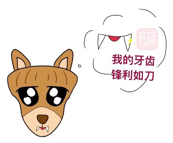 COP15 万物滇行 鼷鹿.jpg