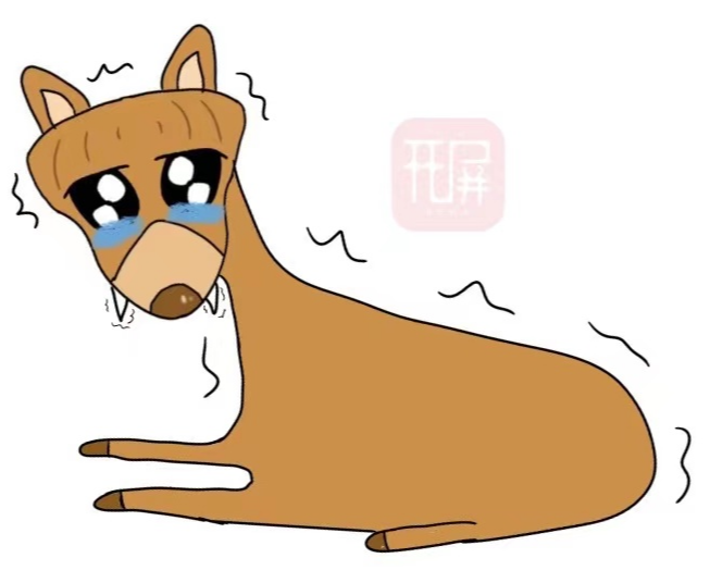 COP15 万物滇行 鼷鹿.jpg