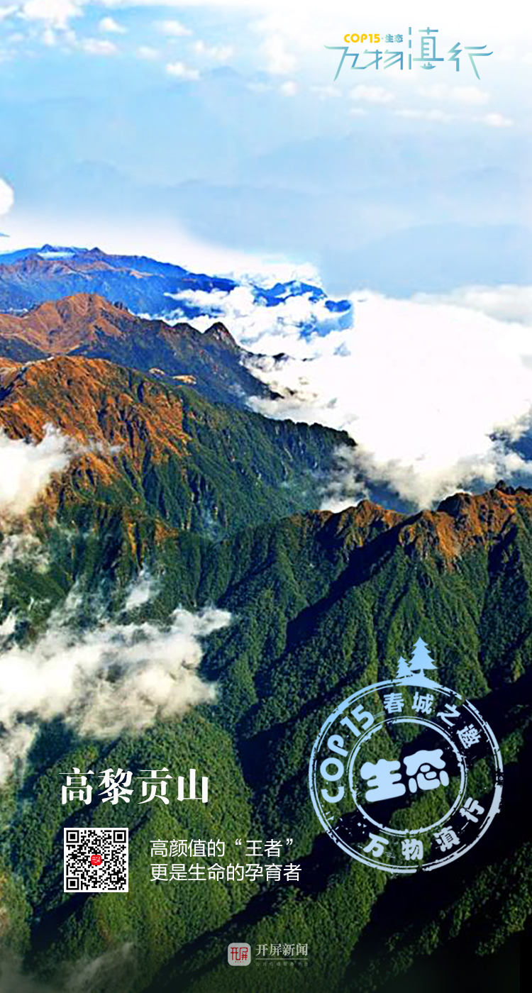 万物滇行 高黎贡山