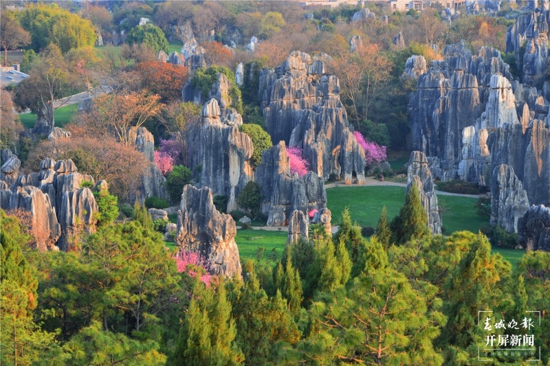 石林春色迷人眼