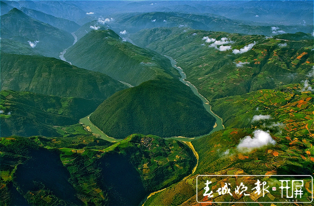 保山龙陵:冕雀首秀小黑山保护区 头顶“黄冠”立枝头(崔敏 通讯员 郁云江 蔡双发 摄影报道)