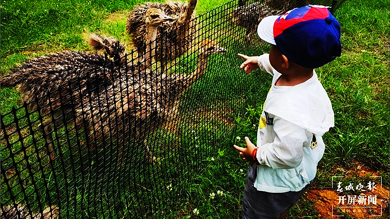 暑假来临，如何在云南“溜娃”？攻略来了，请查收↓ 资料图