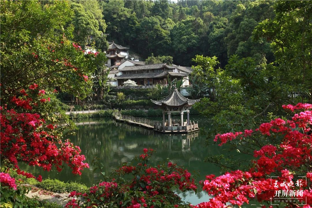 腾冲和顺：万木竞长百鸟欢歌，人民安居天地人和！ (6).jpg