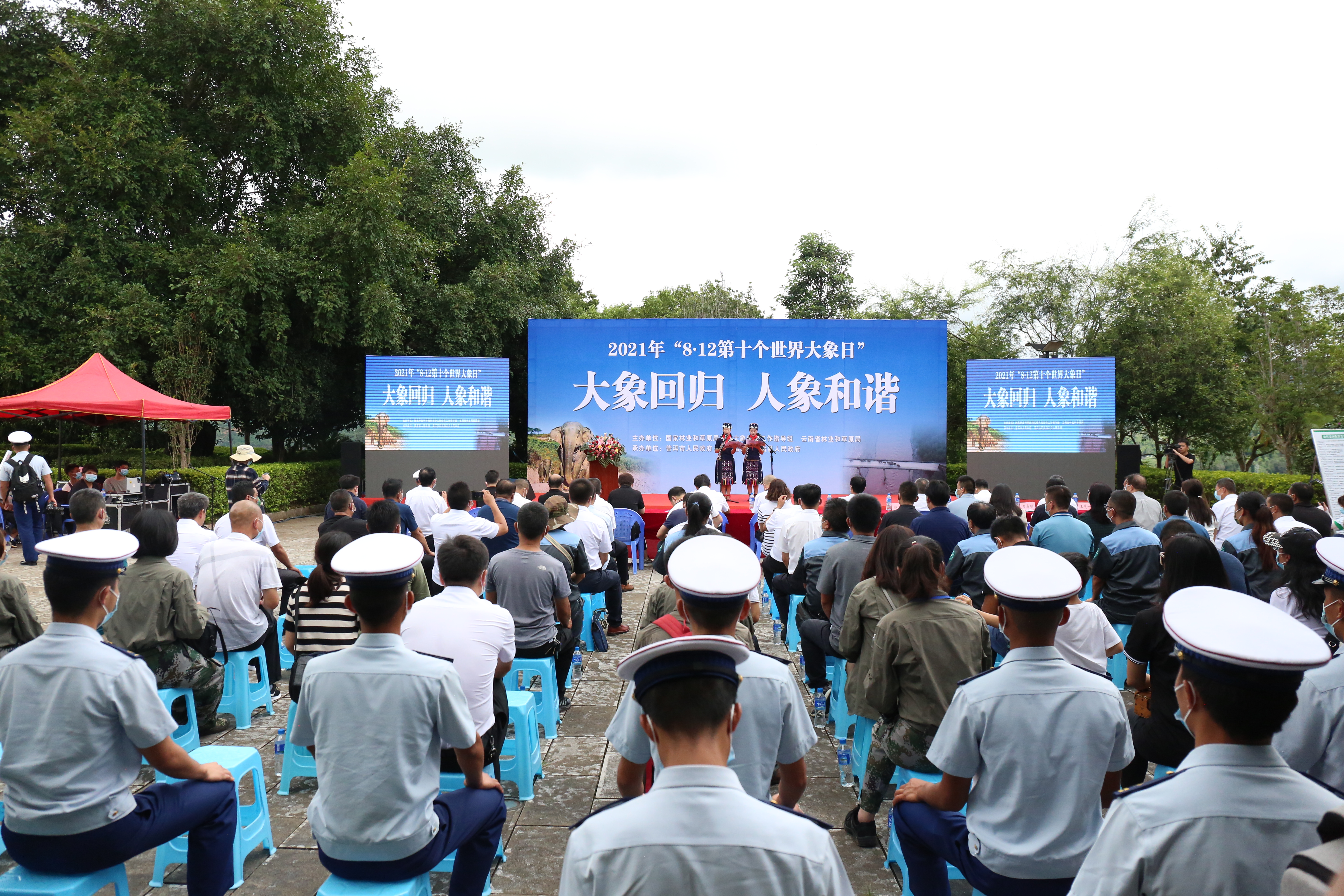 亚洲象（云南省林业和草原局 供图）