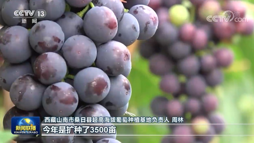 跨越山河 点亮高原 基础设施日趋完善 百姓幸福感不断跃升1.png